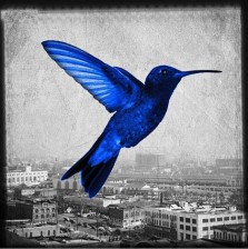 Humming in the city - blue