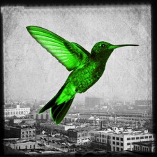 Humming in the city - green