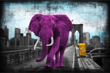 Tripping on Brooklyn bridge - purple