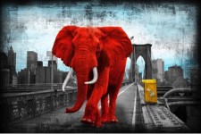 Tripping on Brooklyn bridge - red