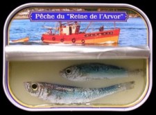 Sardines 1